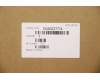 5CB0Z27774 Lenovo COVER Lower Case B 20TG IG