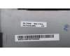 5CB1J02851 Lenovo COVER Lower Case L 82U1 W_HDD_I/G_U