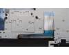 Lenovo 5CB1L39238 Tastatur inkl. Topcase deutsch L82WR RGB WTWOL