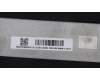 5CB1L55933 Lenovo COVER Lower Case C 82XW L(P0X2)
