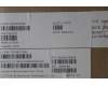 Lenovo 5CB1P00362 Tastatur inkl. Topcase ASM_RUS L 83AC CB