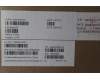 Lenovo 5CB1P50142 Tastatur inkl. Topcase schweiz L83DF GY RGB