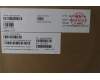 Lenovo 5CB1Q43318 Tastatur inkl. Topcase ASM_UKR L 83LKLG NBL