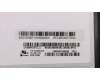 5D10F86071 Lenovo LCD-Displaymodul für Flex2-15, Schwarz, Full HD