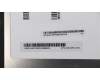 5D10J67100 Lenovo DISPLAY LCD Module W Flex3-1435 HD