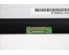 5D10K81092 Lenovo DISPLAY BO NT116WHM N11 V40 HDT AG F NB