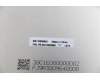 5D10S39669 Lenovo DISPLAY LCD Module L82FX W/glue*0.2g