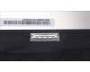 5D10S39977 Lenovo DISPLAY LCD module L83BY N touch MN