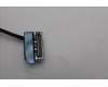 5D10S40283 Lenovo DISPLAY HUD H 83JR 14 WUX OLED 5MP SSH