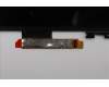 Lenovo 5D10S40323 DISPLAY LCD MODULE L83L0 FCC W/Tape 3.2K
