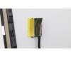 5D10S73325 Lenovo DISPLAY LCD MODULE B 81HY