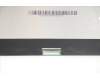 5D10V42637 Lenovo DISPLAY AU B133QAN02.0 0A QHDI AG S NB