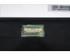 5D10V82427 Lenovo DISPLAY COR 16.0 WUXGA ePri AG