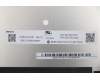 5D10X01020 Lenovo DISPLAY FRU IN N133GCA-GQ1 QHDI AG S NB