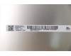 5D10Z26830 Lenovo Display FRU AU B140XTN07 7 0A, HD, Touch, entspiegelt