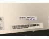 Lenovo 5D11E22253 DISPLAY FRU NE160QDM-N63 V8.0 Color BOE