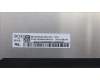 5D11E38376 Lenovo DISPLAY FRU BOE NE160WUM-N64 V8.0