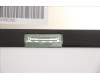 5D11F30354 Lenovo DISPLAY FRU MNF601CA1-1 WQHD Color COST