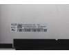 5D11M03584 Lenovo DISPLAY FRU BOE NV153WUM-N61 V8.0 15.3