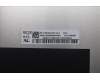 5D11P88007 Lenovo DISPLAY FRU BOE NE173FHM-NY3 V8.0 17.3
