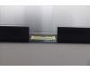 5D11R64277 Lenovo DISPLAY FRU SDC ATNA60HR01 16.0 2.8K FCC