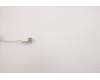 5D50U84490 Lenovo DT_KYB USB G2 WHT_RU-CY