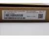 5D50U84622 Lenovo DT_KYB Tra USB AI KB BLK_BR-PT