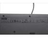 Lenovo 5D50U84648 DT_KYB Tra USB AI KB BLK_SP