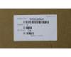 5H50Q95841 Lenovo HINGE Hinge C 81CT R+L W/Antenna CO