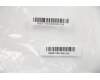 5H50S28924 Lenovo HINGE Hinge C 81T9 L+R