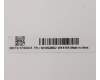 5H50S28962 Lenovo Scharnier C 81XE R-L mit Antenne