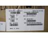 5H50S29111 Lenovo HINGE Hinge R&L C 82XD AL