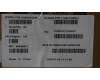Lenovo 5H50S29186 HINGE Hinge R&L C 83SG