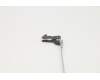 5H50U26488 Lenovo HINGE Hinge(L+R) B 81QB