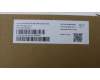 5KM0U87638 Lenovo KYB_MOUSE WL KM Calliope BK ARA/FRA