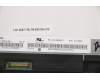 5M11B01074 Lenovo MECH_ASM 11.6,HD,glare,touch,w/b,LB+INX
