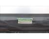 5M11F25315 Lenovo MECH_ASM FRU 13.3 Touch_RGB_AUO+Mutto
