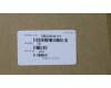 5M20N38173 Lenovo MECHANICAL TF/SIM Socket(WIFI)B 80XF PTN