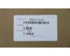 5M20T24780 Lenovo MECHANICAL Dummy ODD C 81MJ