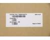 Lenovo 5N20V43731 NB_KYB CMFL-CS20,BK-NBL,CHY,BUL