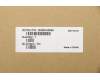 Lenovo 5N20V43899 NB_KYB CMFL-CS20,BK-NBL,LTN,IND ENG