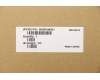 Lenovo 5N20V44031 NB_KYB CMFL-CS20,BK-NBL,PMX,RUS