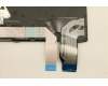 Lenovo 5N21A21953 NB_KYB CS21KBD SKTOP PMX,NBL,BK,NORDIC