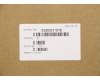 5SB0S31918 Lenovo Interner Lautsprecher W 81VU