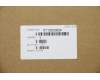 5T10S33024 Lenovo TAPE Removable Tape C 81NX R/L