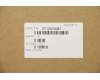 5T10S33081 Lenovo TAPE Removable Tape L 81WA (L+R)