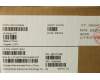 Lenovo 5W10V25844 WIRELESS Wireless,WLAN,LTN,8852BE