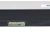 Acer KL1730E012 original IPS Display (2560x1440) matt 165Hz