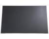 KL.16005.010 Acer LCD Display 16\" AUO WUXGA IPS nicht glänzend