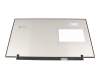 Medion Erazer Beast X20 (GM7MG7P) IPS Display (2560x1440) matt 165Hz